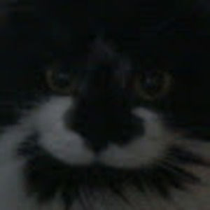 Meet your Posher, Charleigh